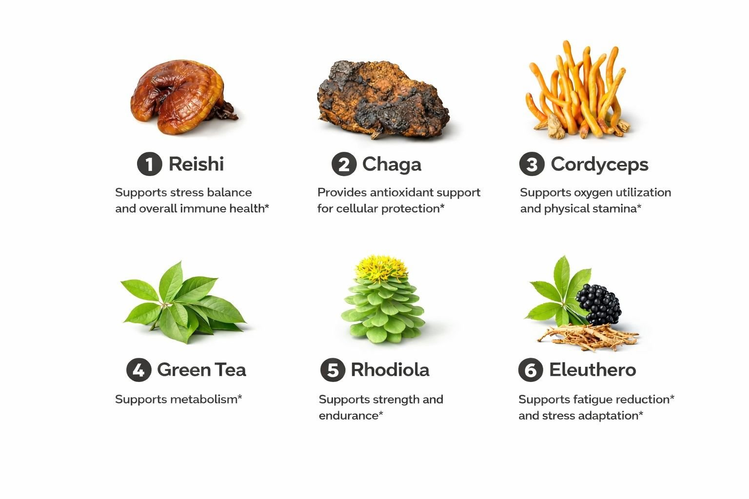 Key Ingredients For Energy & Stamina